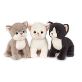 Fyrry Cat Puppy 25 cm Peluche - Variado